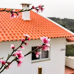 O Refugio Coimbra